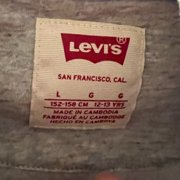 081. Levi's Sweatshirt Hoodie Gray With Neon Lettering L Youth - Picture 7 of 7